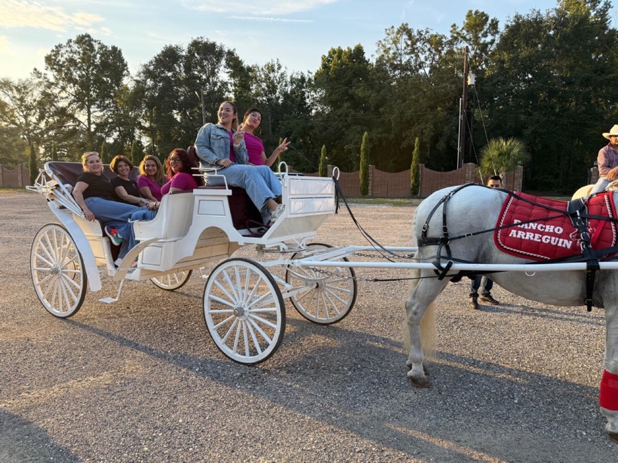 Horse-drawn carriage for quinceañeras and weddings at Inspira Ranch, Livingston TX