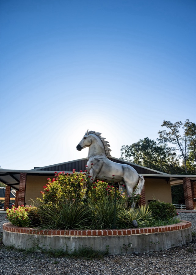 Inspira Ranch horse statue and entrance