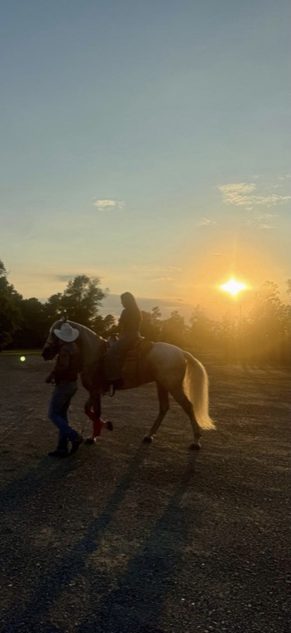 Silhouette of horseback rider at golden-hour sunset on Inspira Ranch grounds